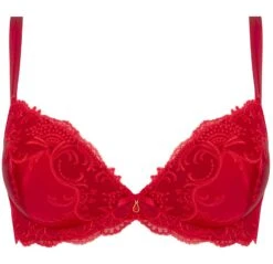 Gefütterter Seiden BH SPLENDEUR SOIE Von Lise Charmel -Marlies Dekkers Verkaufsgeschäft bh gefuettert seide acc8580d rot 2478 splendeur soie lise charmel 2 1