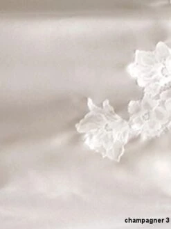 Seta Superior Seiden-Nachthemd VALIDA Von Cotton Club -Marlies Dekkers Verkaufsgeschäft farbfeld seide spitze champagner seta superior cotton club 6