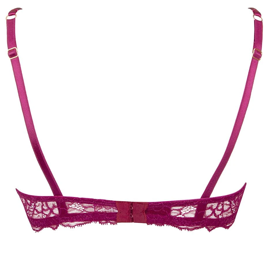 Halbschalen BH SUBLIME EN DENTELLE Von Lise Charmel 9 Halbschalen BH SUBLIME EN DENTELLE Von Lise Charmel – Bild 7