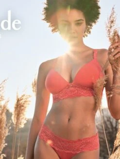 Triangel BH SWEETESSENCE IK Microfaser Mit Spitze Von Aubade 31 Triangel BH SWEETESSENCE IK Microfaser Mit Spitze Von Aubade -Marlies Dekkers Verkaufsgeschäft microfaser dessous grenadine ikc10 ik26 2 sweetessence aubade 4