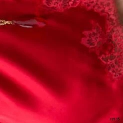 Seta Superior Stretchseide Brasiliana SOVRANA Von Cotton Club -Marlies Dekkers Verkaufsgeschäft seide mit spitze rosso cotton club 5