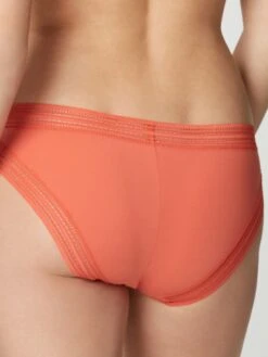 Tüll Slip MISS LEJABY Von Maison Lejaby 25 Tüll Slip MISS LEJABY Von Maison Lejaby -Marlies Dekkers Verkaufsgeschäft slip mit spitze orange misslejaby chili maison lejaby 2 1 1