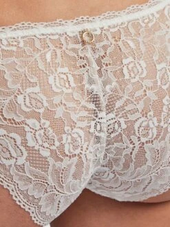Brasiliana Slip ROSESSENCE HK Spitze Von Aubade -Marlies Dekkers Verkaufsgeschäft spitze dessous hk27 6 5 opal weiss rosessence aubade 7