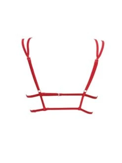 Triangel Longline BLACK SWAN BH Aus Spitze Von Prelude Milano -Marlies Dekkers Verkaufsgeschäft triangel bh longline ys281 rot black swan prelude milano 2