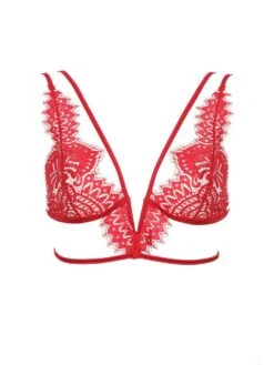 Triangel Longline BLACK SWAN BH Aus Spitze Von Prelude Milano -Marlies Dekkers Verkaufsgeschäft triangel bh longline ys281 rot black swan prelude milano